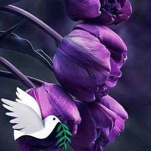 Meet your Posher, Patricia